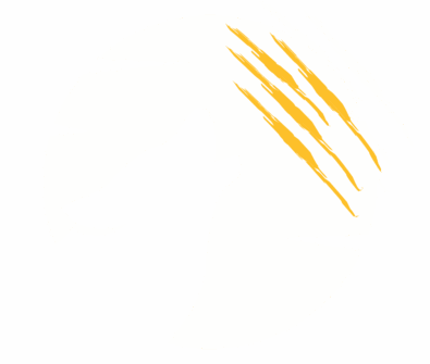07_06